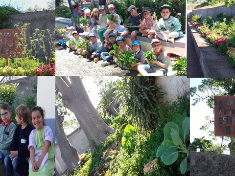 Os alunos observam, tocam e mexem nos produtos hortícolas e dão passeios pelos espaços horta/jardim da escola.